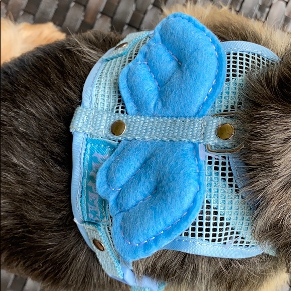 Doggy Angel harness 🐶 model is 7 lbs , wearing S - Picture 2 of 6